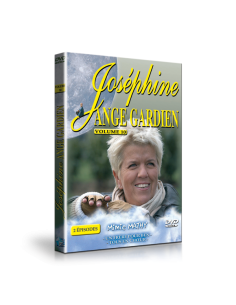 Joséphine Ange Gardien volume 10 - Un frère pour Ben / Tous en choeur