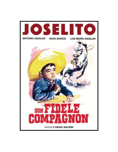 Son fidèle compagnon