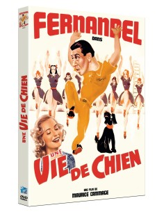 Une vie de chien