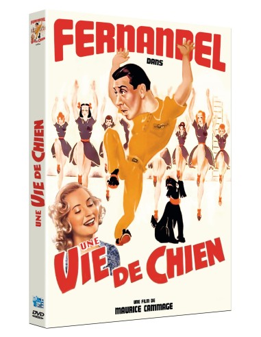 Une vie de chien